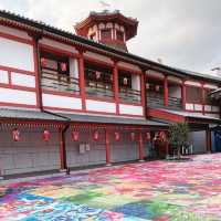 【愛媛県/道後温泉♨️】