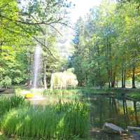 德國--巴伐利亞--Kurpark Bad Wörishofen香草玫瑰公園