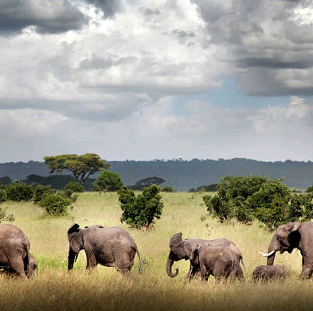 TANZANIA AUTHENTIC AND EXOTIC EXPERIENCES.