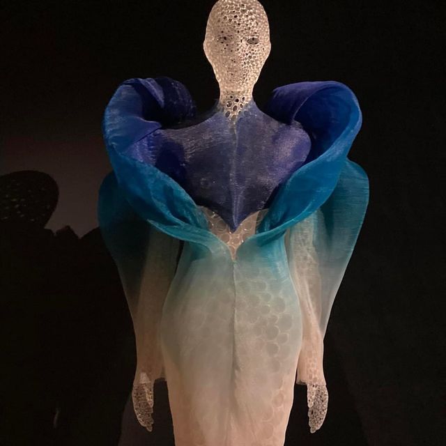 Iris van Herpen in Paris Museum 🗺️