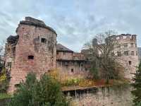 Heidelberg Palace 🇩🇪