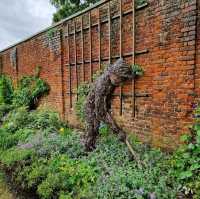 The gardens at Hampton Court