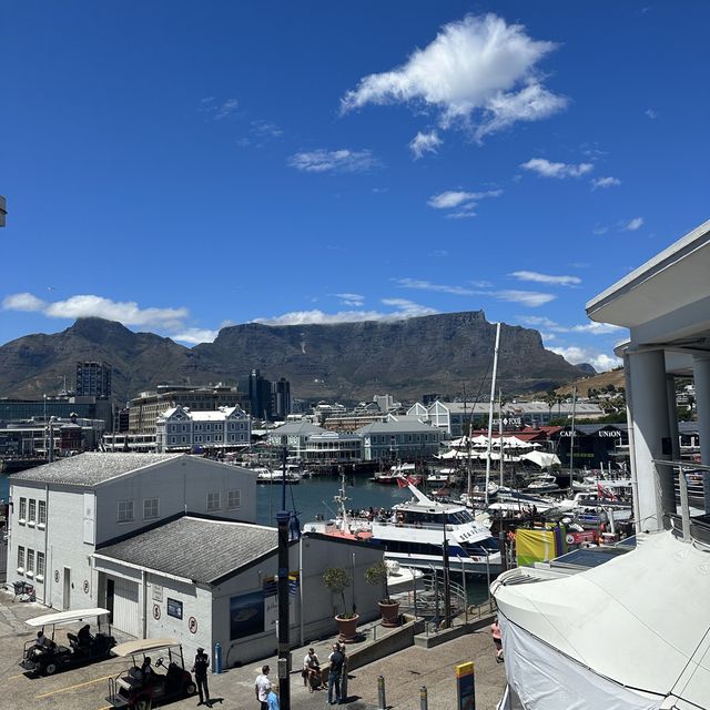 Cape Town adventures