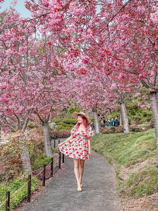 일본 우정 정원 🪴🌸