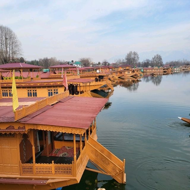 Spectacular Kashmir