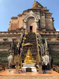 Captivating Chiang Mai