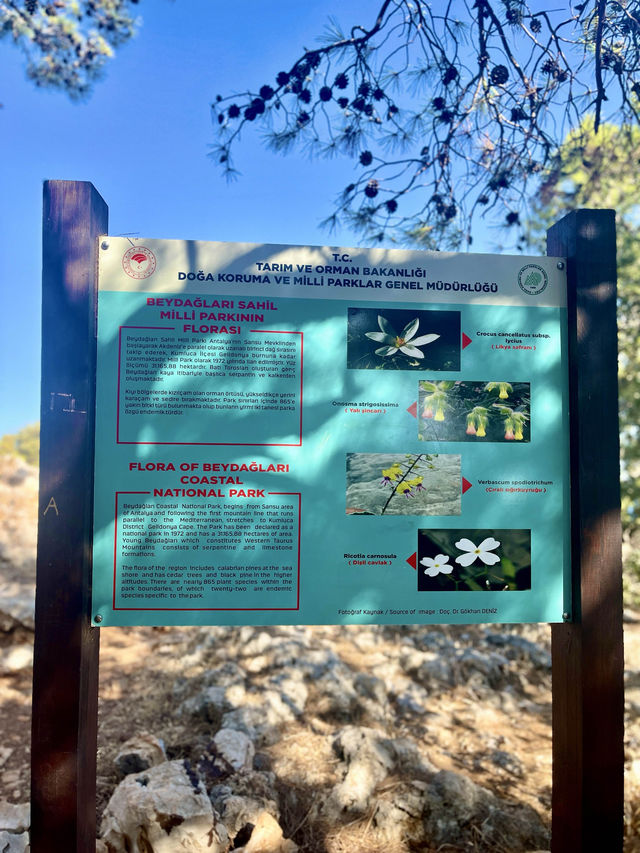 📍Beydağları Coastal National Park, Türkiye 🇹🇷 