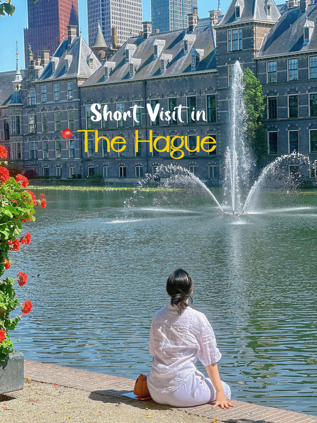 Short Visit in The Hague City Center