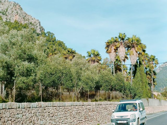 Palma de Mallorca 🇪🇸