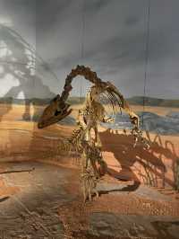 Have a roar-some time, dinosaurs at the museum of Wales