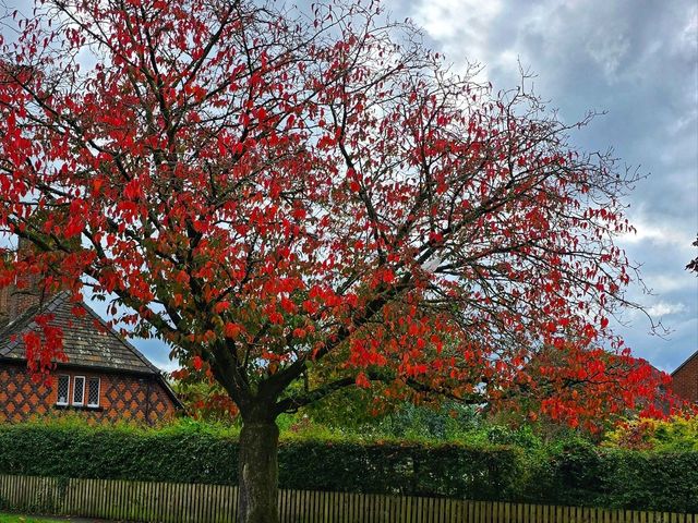Autumn in Worsley, Manchester