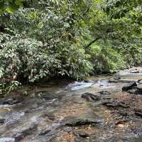 A perfect day in North Sumatra Bukit Lawang Jungle with Orangotans