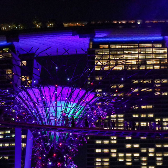 Most Instagrammable places in Singapore 🇸🇬