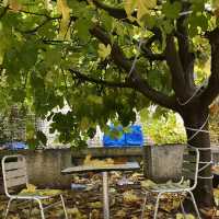 🍂 Travel to Sulaymaniyah, Iraq in Autumn 🍂