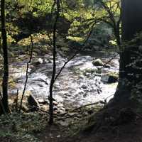 Wonderful walk through the hermitage
