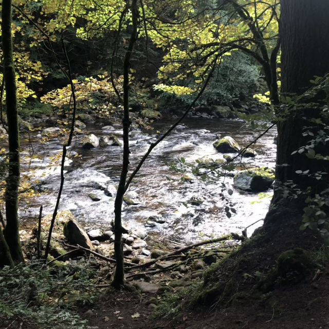 Wonderful walk through the hermitage