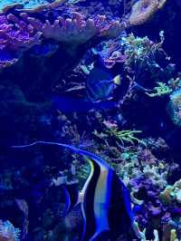Seville Aquarium - Spain