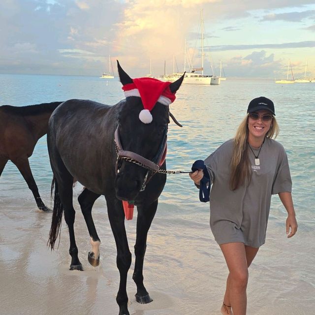 Riding and Washing race horses at Pebbles Beach Barbados 🇧🇧😍