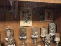 Pharmacy Museum in Lviv: A Hidden Gem of History