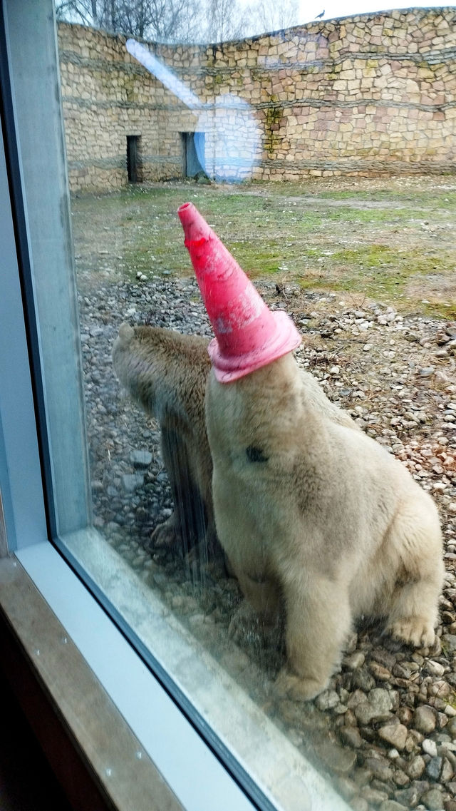 Tallinn Zoo - Estonia