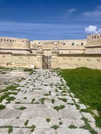 The Fortunes of Fort Saint Elmo