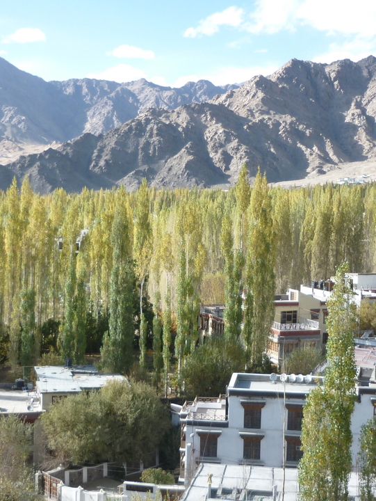 Leh-Ladakh: The Land of High Passes and Stark Beauty