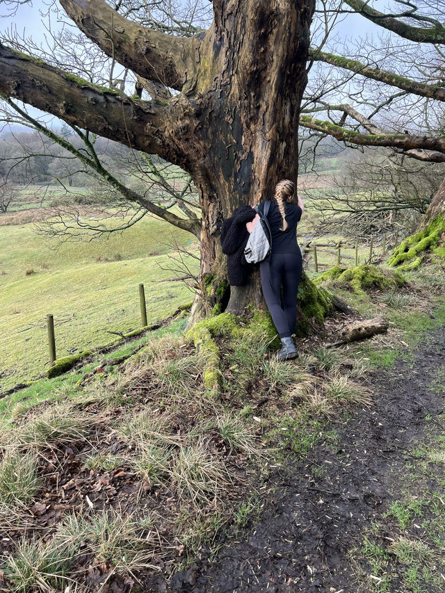 Nature walk in Rivington, Horwich 