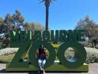 The Melbourne Zoo