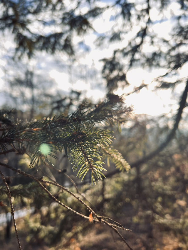 Short but beautiful Trip to Kislovodsk