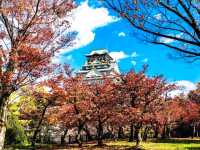 西之丸庭園