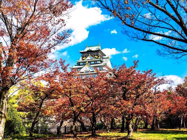 西之丸庭園