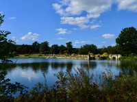 特倫特姆花园(Trentham Garden)一日游