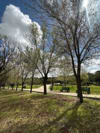 Al-Hussein Park