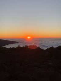 Tenerife South