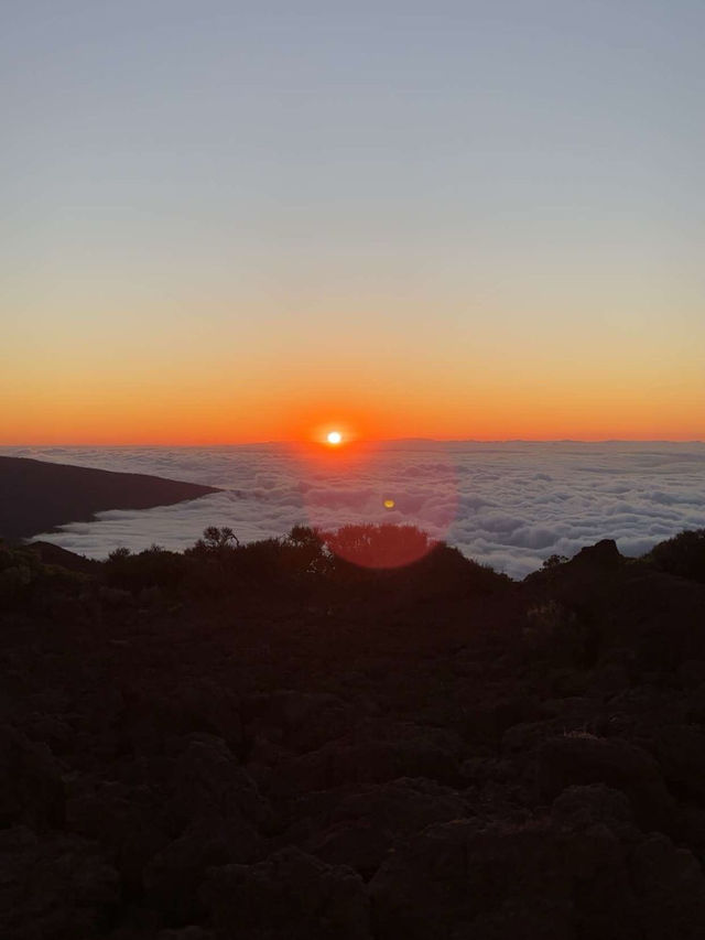Tenerife South