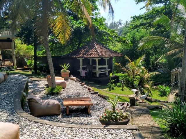 “The Hidden Soul of Bali: Nature’s Refuge by the Sea”