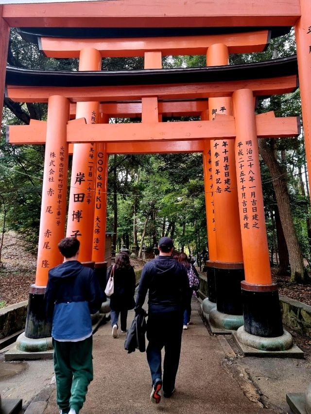 🌸 Jaw Dropping Japan - Shrines, Train Lines & Bovine.