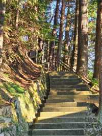 Open-Air Museum in Takayama: A Journey into the Hida Region’s Past
