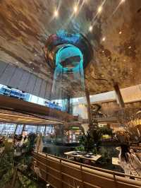 All the treasures of IconSiam