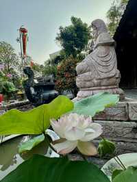 Beyond Train Street: The Best Things to Do in Hanoi for an Unforgettable Trip