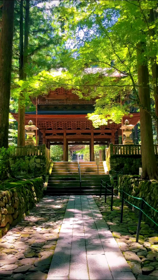 🌲 Whispers of the Forest – Kozen-ji Temple, Nagano
