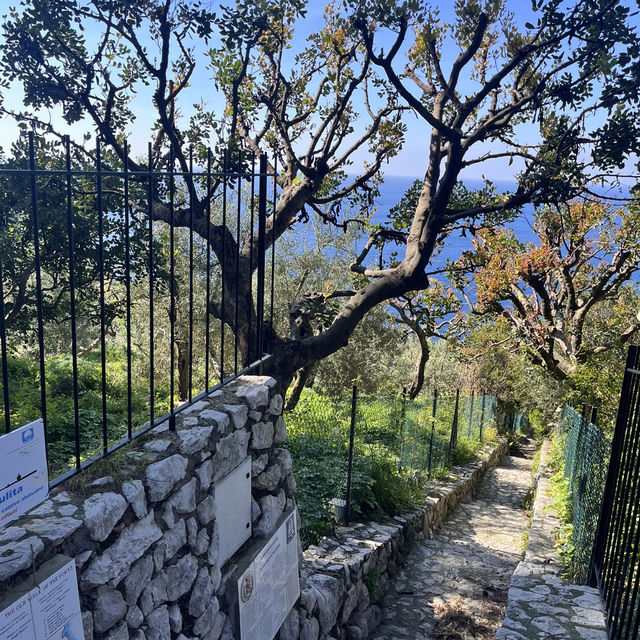 Capri: A Sun-Drenched Jewel in the Tyrrhenian Sea
