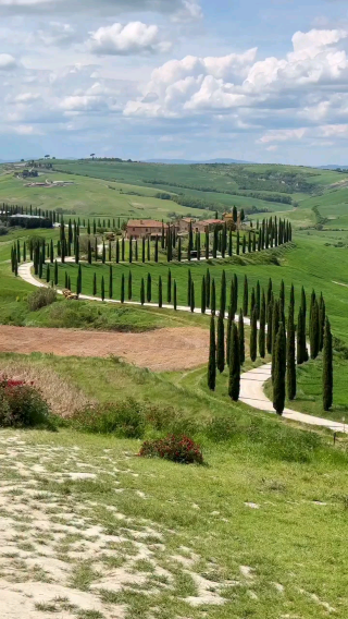 🌻 Tuscany Magic: Rolling Hills & Timeless Beauty