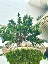 Jungle in the city: Bantian Vanke plaza in Shenzhen