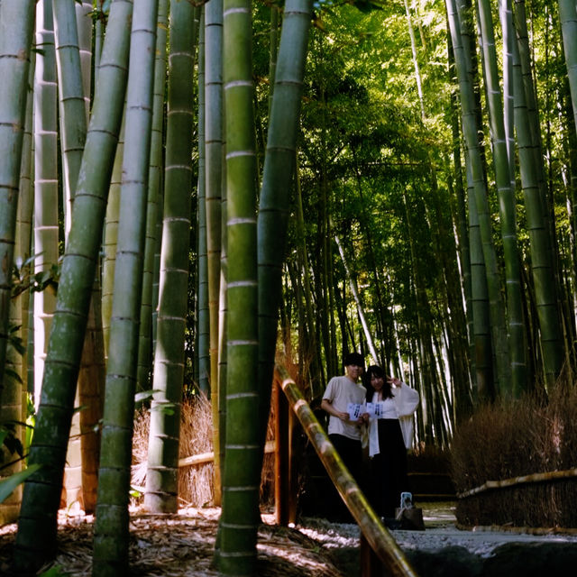 Tokyo’s Green Side: Parks, Gardens & Hidden Nature