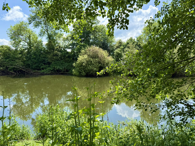 A Weekend to Unwind