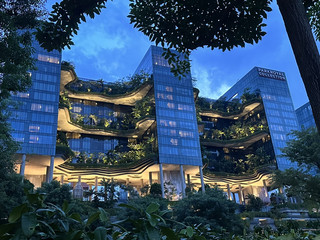 🌳 The City Where Nature and the Future Collide