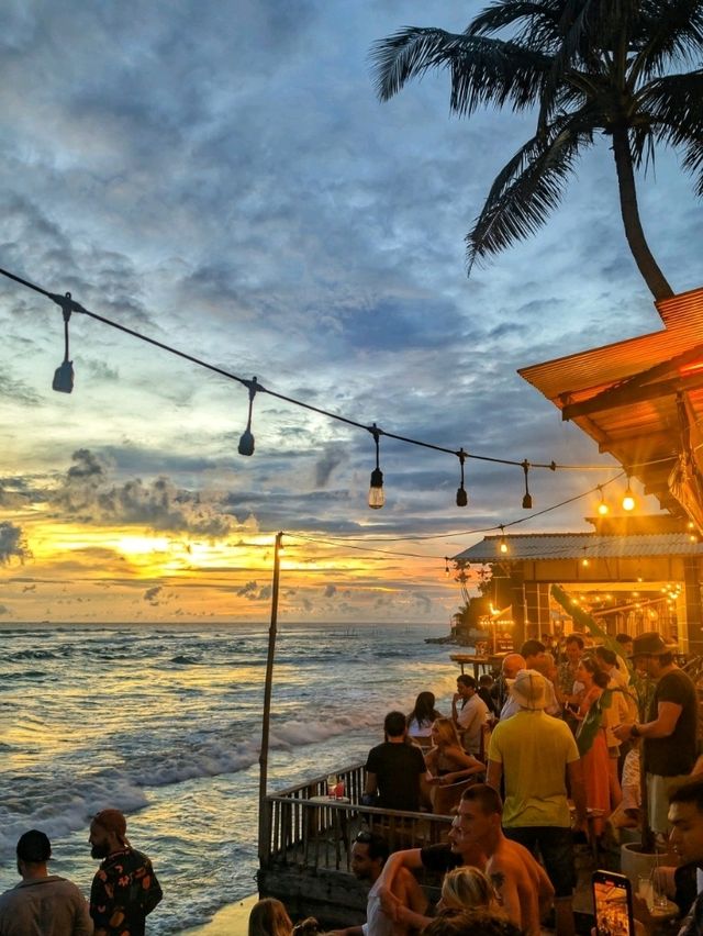Tropical Escape🌅