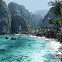 Phi Phi Island Magic✨