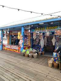 🎡 A People's Pier Since 1868